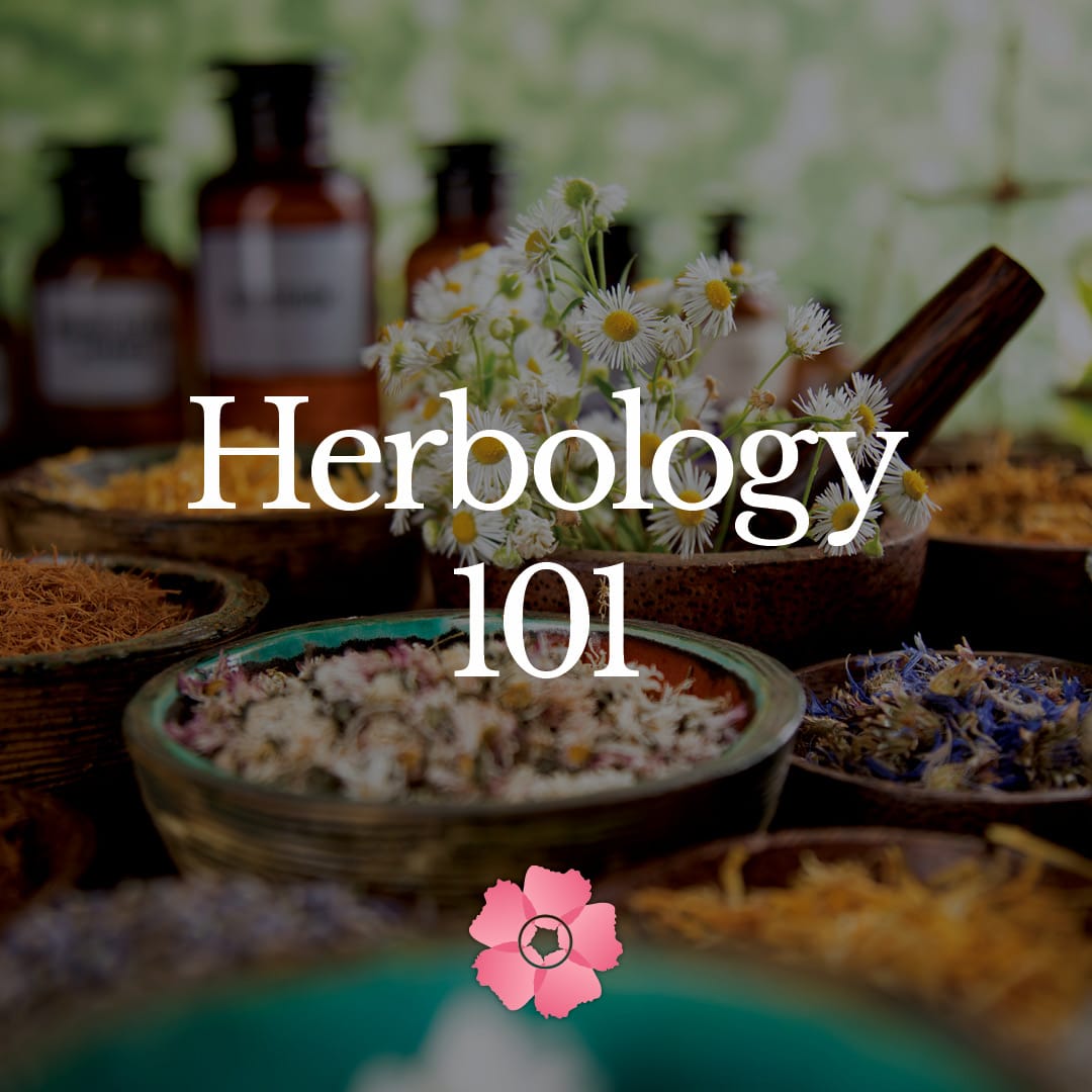 Herbology Advanced