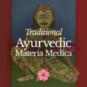 *Traditional Ayurvedic Material Medica