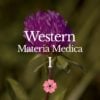 Western Materia Medica I - July 2022 - StyleA - 2