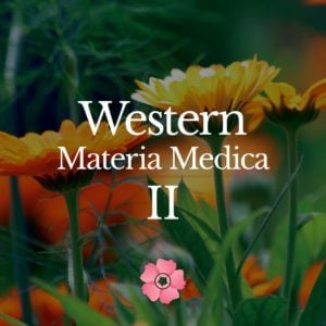 Western Materia Medica II
