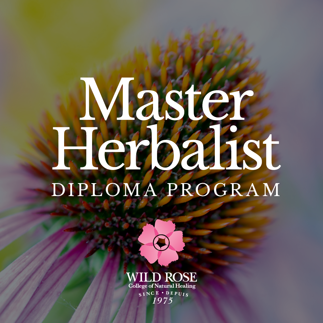 Master Herbalist Diploma_Program Covers1