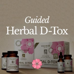 Guided Herbal D-Tox