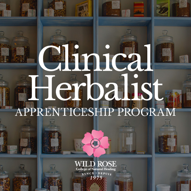 Clinical Herbalist Apprenticeship