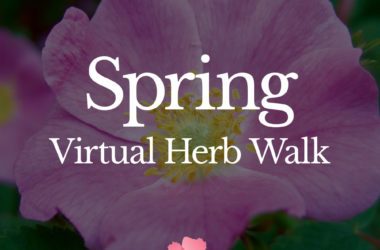Spring-Virtual-Herb-Walk-2020-2