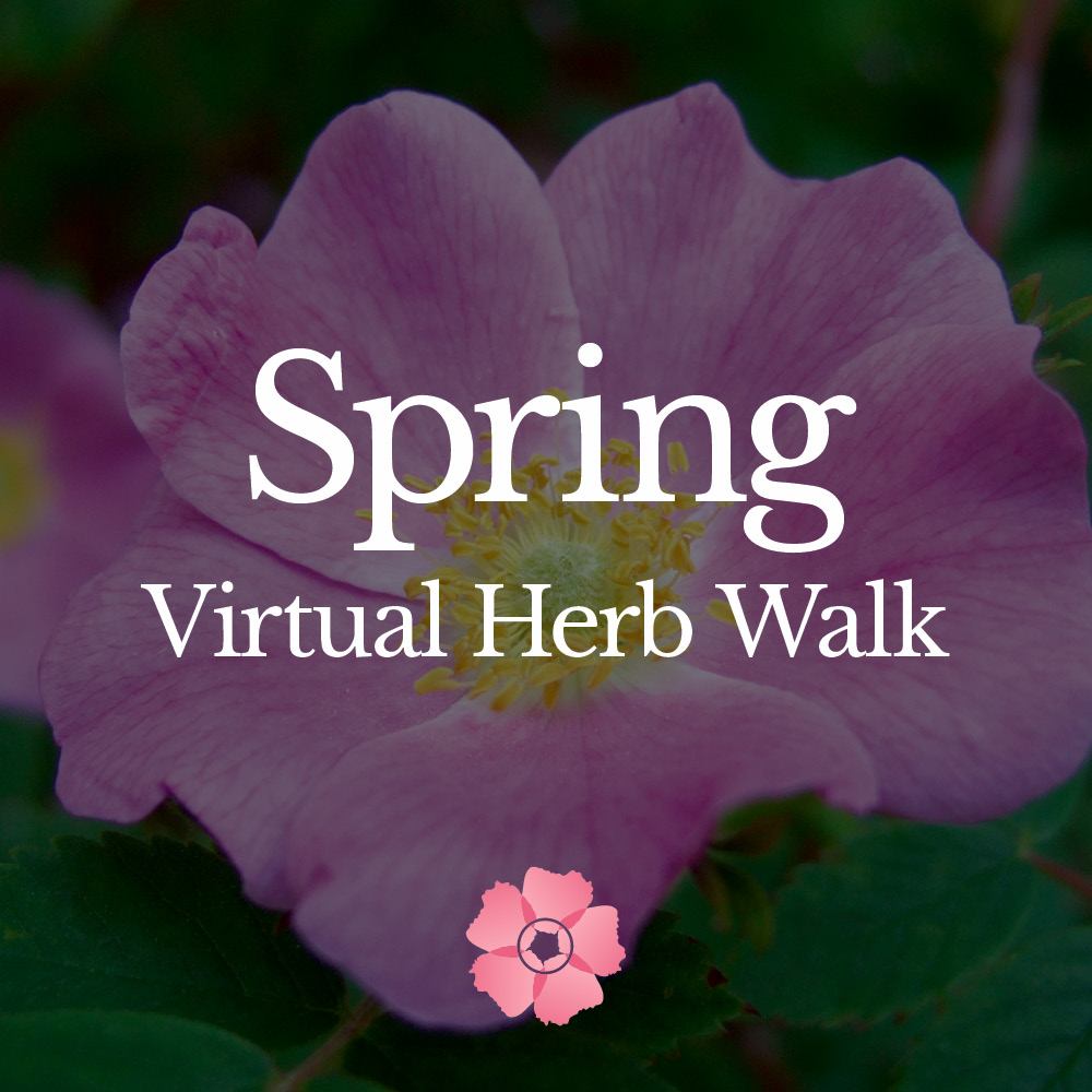 Spring-Virtual-Herb-Walk-2020-2