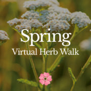 Spring-Virtual-Herb-Walk-2020-3