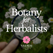Botany for Herbalists