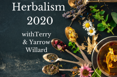 Herbalism-2020