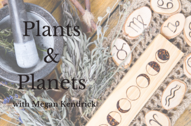 Plants-and-Planets-Thumbnail-Free-Resources