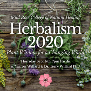 Herbalism-2020-Plant-Wisdom-for-a-Changing-World-Square-1