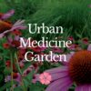 Urban Medicine Garden - Aug 2022 - StyleA - 1