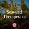 Seaweed Therapeutics - Aug 2022 - StyleA - 1