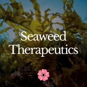 Seaweed Therapeutics