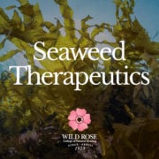 Seaweed-Therapeutics-Course-Cover