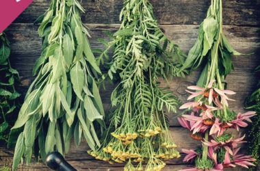 Wild-Harvesting-Herbs-Sale
