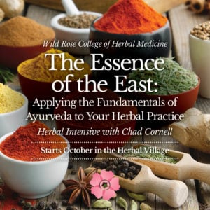 Essence-of-the-East-Ayurvedic-Medicine-Intensive-Square-StyleA-1