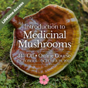 Intro-to-Medicinal-Mushrooms-2020-Square-v1.1-LifetimeAccess-8