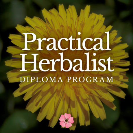 Practical Herbalist Diploma-Programs-Sale-Fall-2021-NoPricing-1