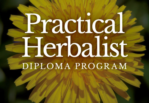 Practical Herbalist Diploma-Programs-Sale-Fall-2021-NoPricing-1