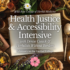 Health-Justice-Accessibility-Intensive-Square-2