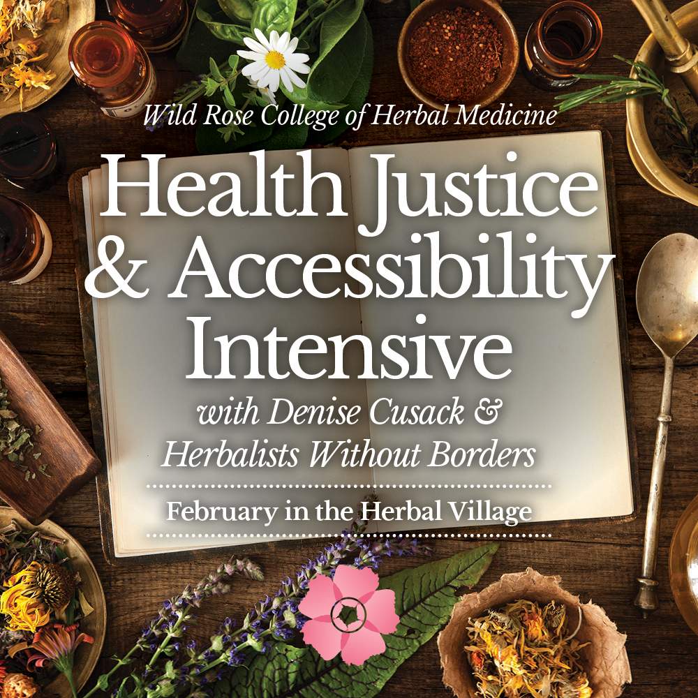 Health-Justice-Accessibility-Intensive-Square-2