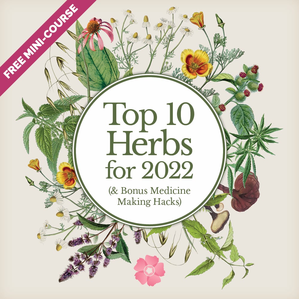 Top 10 Herbs MiniCourse