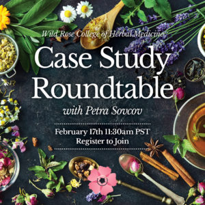 Case-Study-Roundtable-Feb17-Square-2