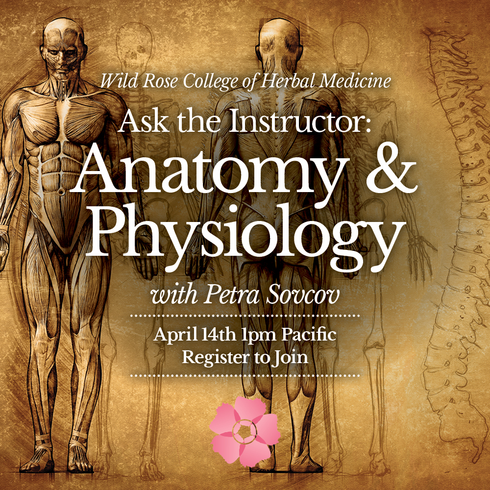 Ask-the-Instructor-AnatomyPhysiology-Square-1