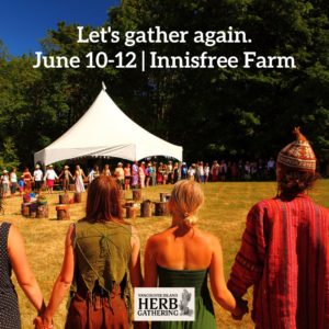 vancouver-island-herb-gathering-2022