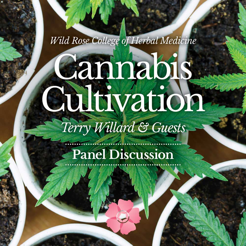 Cannabis-Cultivation-Live-Panel-April-Square-Rev-3-web