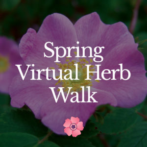 Spring Virtual Herb Walk