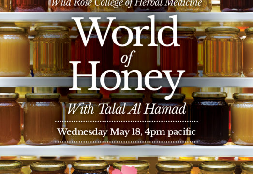 World-of-Honey-May-18-2