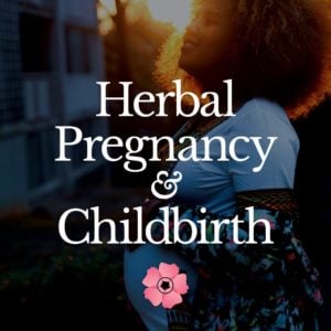 Herbal Pregnancy & Childbirth