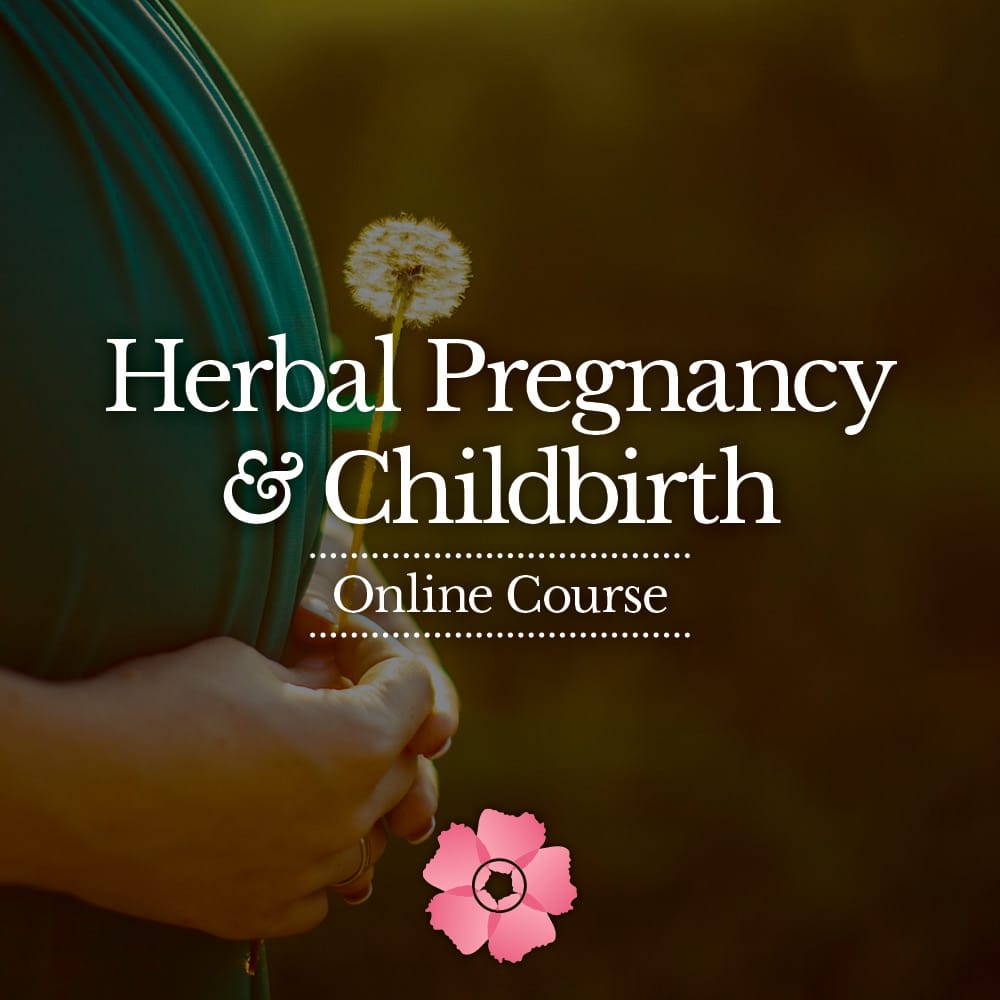 Herbal-Pregnancy-and-Childbirth-Square-Style-D-1