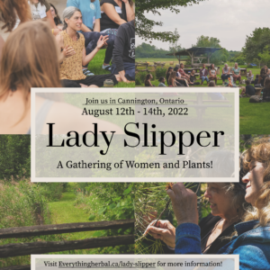 Lady-Slipper-social-media-new-main-copy
