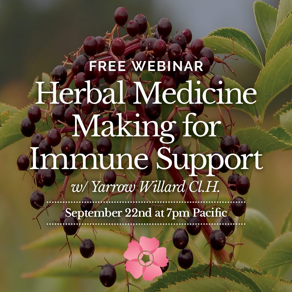 Herbal Medicine Making for Immune Support_Webinar