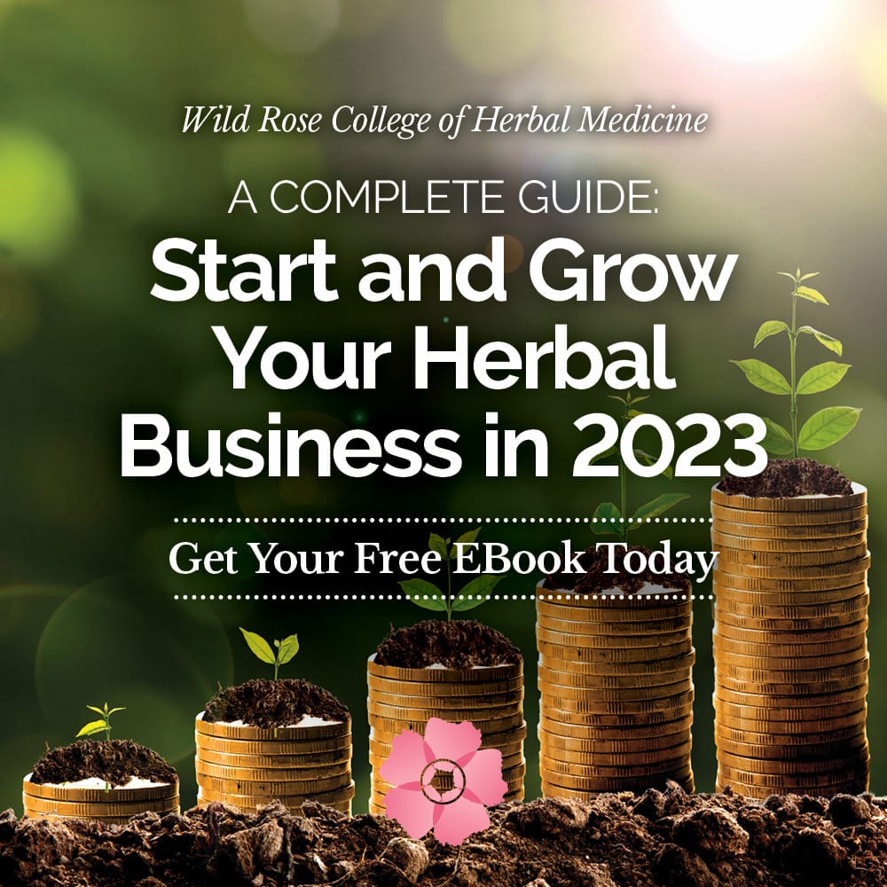Start and Grow Your Herbal Business in 2023