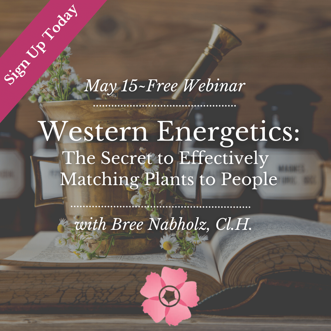 Western Energetics: The Secret to Effectively Matching Plants to People
