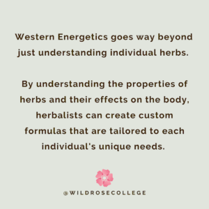 Western Energetics: How Herbs and Humans Interact
