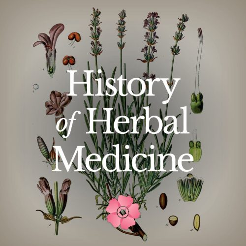 History of Herbal Medicine - Aug 2022 - StyleA - 1